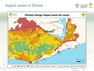 Climate smart cocoa value chains