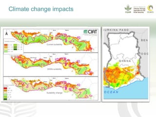 Climate smart cocoa value chains