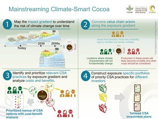 Climate smart cocoa value chains