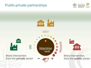 Climate smart cocoa value chains