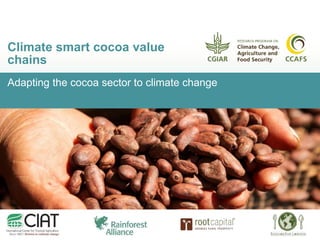 Adapting the cocoa sector to climate change
Climate smart cocoa value
chains
 