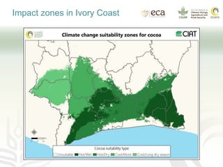 Impact zones in Ivory Coast
 