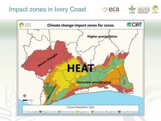Impact zones in Ivory Coast
HEAT
Higher precipitation
Uncertain precipitation
 
