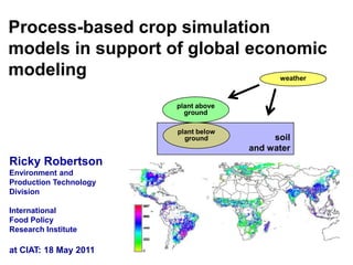 Process-based crop simulation models in support of global economic modeling weather plant above ground soil and water plant below ground Ricky Robertson Environment and Production Technology Division International Food Policy Research Institute at CIAT: 18 May 2011 