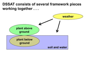 DSSAT consists of several framework pieces working together . . .weatherplant above groundsoil and waterplant below ground