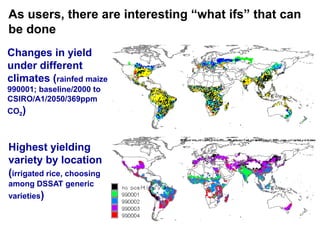 As users, there are interesting “what ifs” that can be doneChanges in yield under different climates (rainfed maize 990001; baseline/2000 to CSIRO/A1/2050/369ppm CO2)Highest yielding variety by location(irrigated rice, choosing among DSSAT generic varieties)
