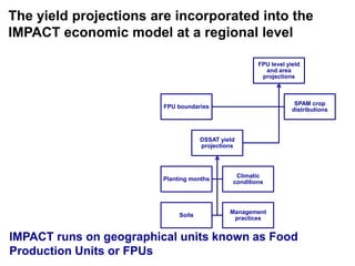 Ciat crop modeling_18may11