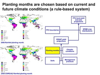Ciat crop modeling_18may11