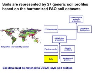 Ciat crop modeling_18may11