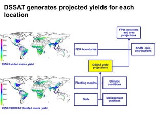 Ciat crop modeling_18may11