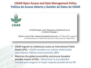 CIAT Workshop: Data Management Community of Practice 