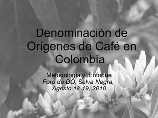Denominación de Orígenes de Café en Colombia  Metodología y  Enfoque Foro de DO, Selva Negra,  Agosto 18-19, 2010 Bogota, November 22, 2006 Bogota, November 22, 2006 