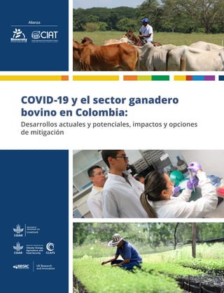 COVID-19 y el sector ganadero
bovino en Colombia:
Desarrollos actuales y potenciales, impactos y opciones
de mitigación
 