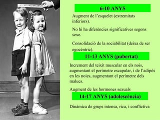 6-10 ANYS Augment de l’esquelet (extremitats inferiors).  No hi ha diferències significatives segons sexe.  Consolidació de la sociabilitat (deixa de ser egocèntric).   11-13 ANYS (pubertat) Increment del teixit muscular en els nois, augmentant el perímetre escapular, i de l’adipós en les noies, augmentant el perímetre dels malucs. Augment de les hormones sexuals 14-17 ANYS (adolescència) Dinàmica de grups intensa, rica, i conflictiva 