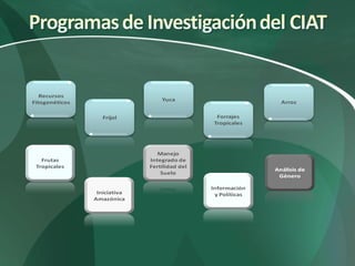 Nuevas Direcciones Estratégicas (CIAT)