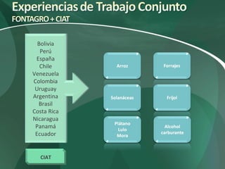 Nuevas Direcciones Estratégicas (CIAT)