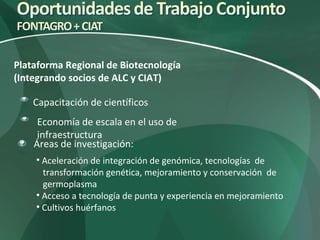 Nuevas Direcciones Estratégicas (CIAT)