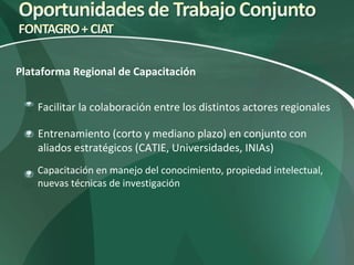 Nuevas Direcciones Estratégicas (CIAT)
