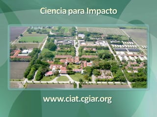Nuevas Direcciones Estratégicas (CIAT)