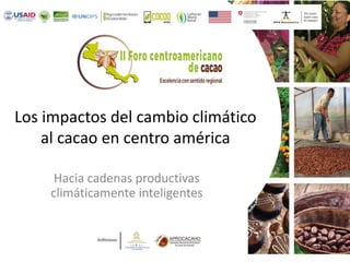 Los impactos del cambio climático
al cacao en centro américa
Hacia cadenas productivas
climáticamente inteligentes
 