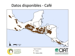 Los impactos del cambio climático al cacao en Centro América