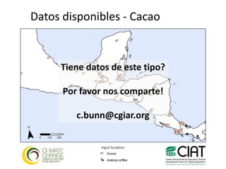 Los impactos del cambio climático al cacao en Centro América