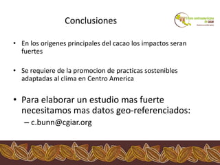 Los impactos del cambio climático al cacao en Centro América
