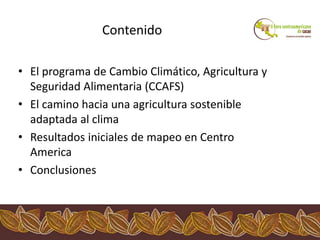 Los impactos del cambio climático al cacao en Centro América
