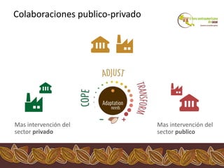 Los impactos del cambio climático al cacao en Centro América