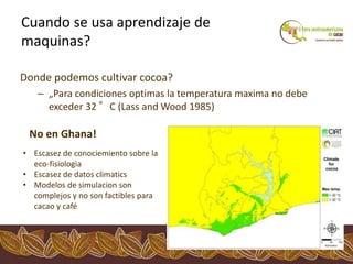 Los impactos del cambio climático al cacao en Centro América