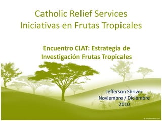 Catholic Relief Services Iniciativas en Frutas Tropicales Encuentro CIAT: Estrategia de Investigación Frutas Tropicales  Jefferson Shriver Noviembre / Diciembre 2010 