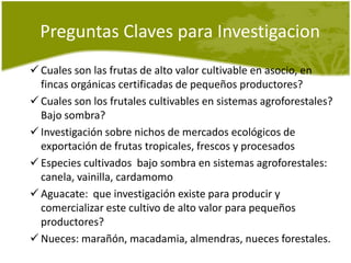 Estrategia de Investigación en frutas tropicales, CRS