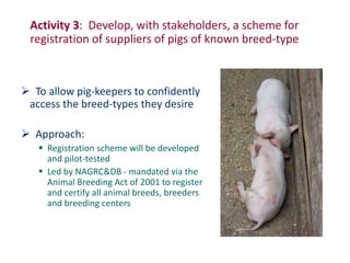 Uganda pig genetics