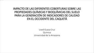 IMPACTO DE LAS DIFERENTES COBERTURAS SOBRE LAS
PROPIEDADES QUÍMICAS Y BIOQUÍMICAS DEL SUELO
PARA LA GENERACIÓN DE INDICADORES DE CALIDAD
EN EL OCCIDENTE DEL CAQUETÁ
Lised Guaca Cruz
Químico
Universidad de la Amazonia
 