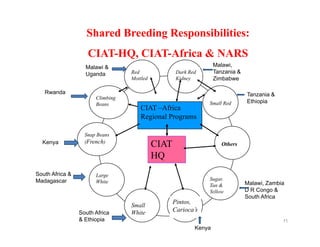 Ciat overview  wecabren sc, nov 2010 [compatibility mode]