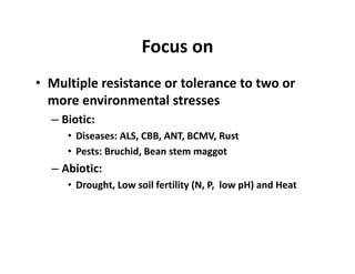 Ciat overview  wecabren sc, nov 2010 [compatibility mode]