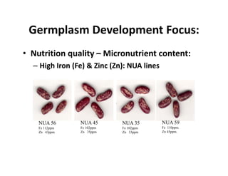 Ciat overview  wecabren sc, nov 2010 [compatibility mode]