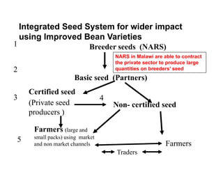 Ciat overview  wecabren sc, nov 2010 [compatibility mode]