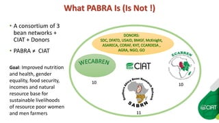 Key Facts on PABRA 