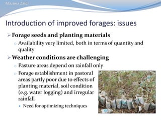 CIAT in Tanzania progress report