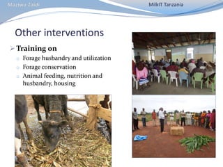 CIAT in Tanzania progress report