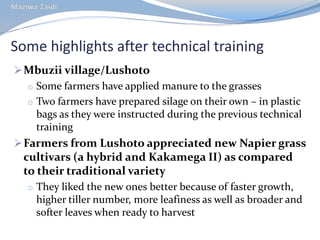 CIAT in Tanzania progress report