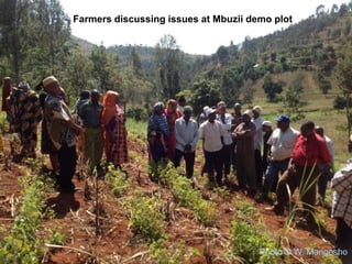 CIAT in Tanzania progress report
