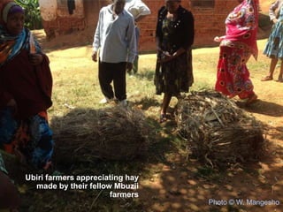 CIAT in Tanzania progress report