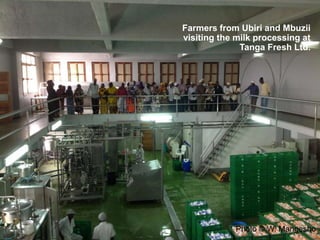 CIAT in Tanzania progress report