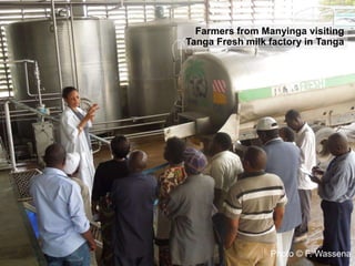 CIAT in Tanzania progress report