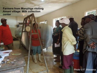 CIAT in Tanzania progress report