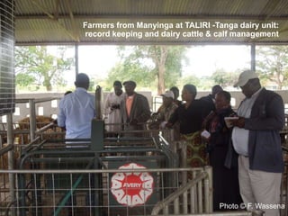 CIAT in Tanzania progress report