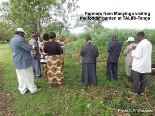 CIAT in Tanzania progress report