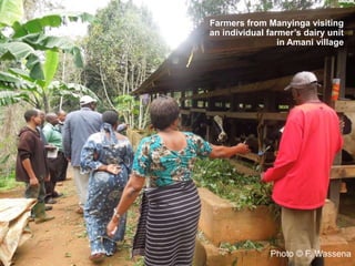 CIAT in Tanzania progress report